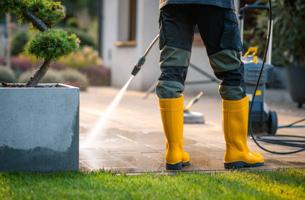 Best Pressure Washing Company Near Me  in Woodbury, NY